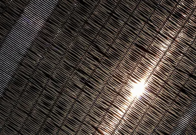 Shade Doesn’t Equal Yield Loss: Understanding Light Quality vs. Quantity with Sunshade Nets